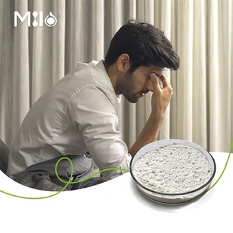 Poudre gamma-oryzanol