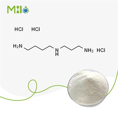 Poudre de trichlorhydrate de spermidine